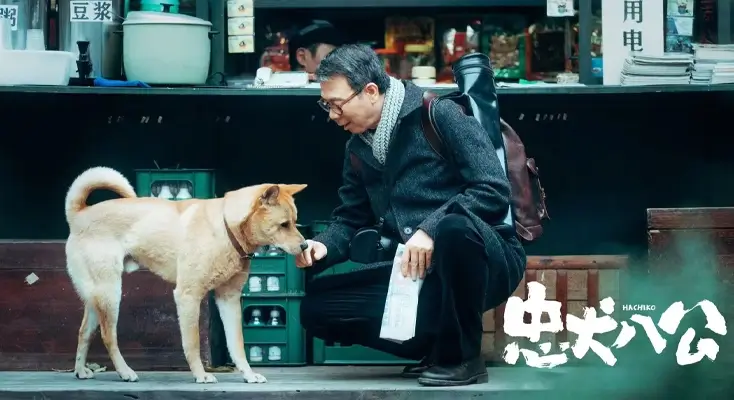 手机b站在海外看不了怎么办示例